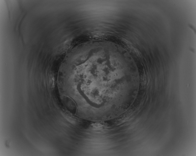 X0000093100703200709261230