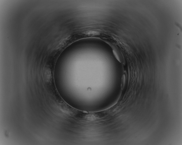 X0000093100704200709261230