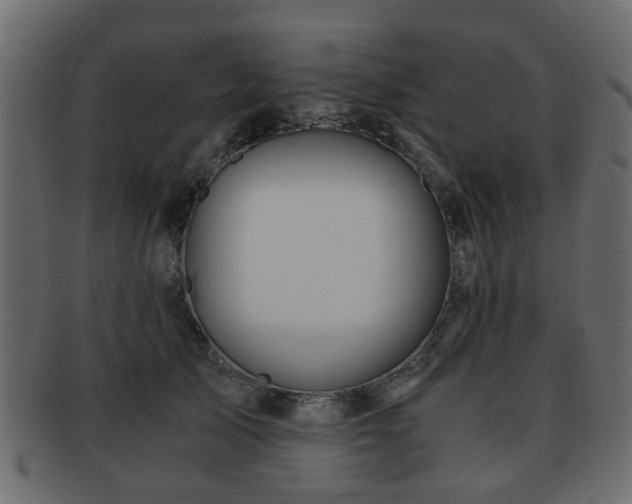 X0000093100705200709261230