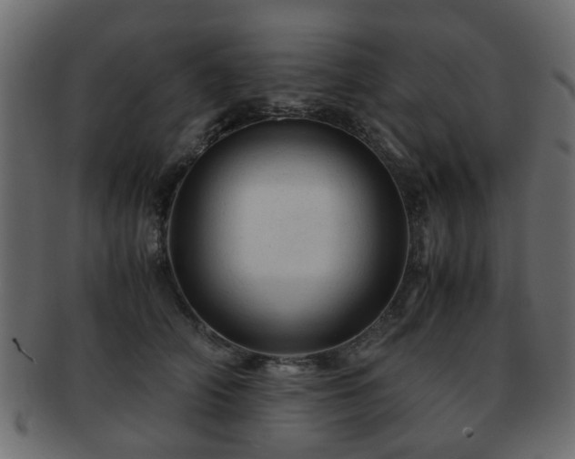 X0000093100706200709261230