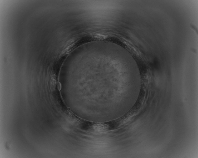X0000093100707200709261230
