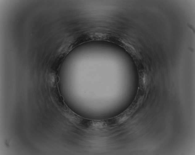 X0000093100709200709261230
