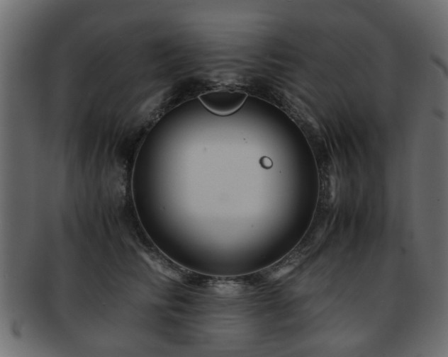 X0000093100710200709261230
