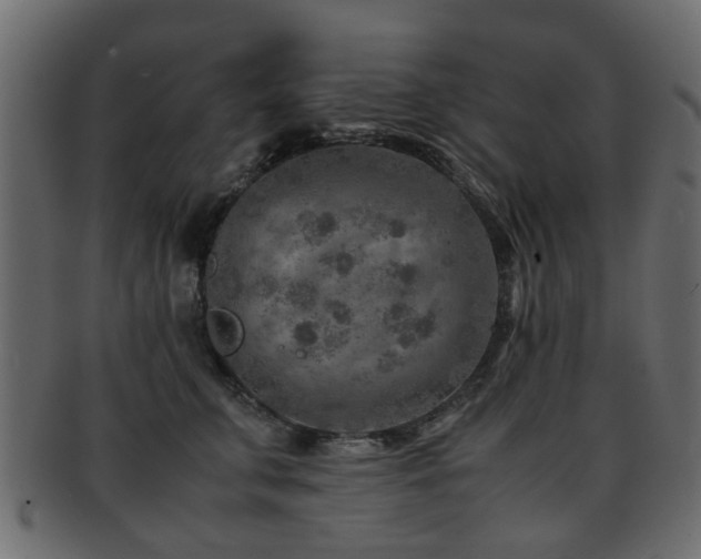 X0000093100711200709261230
