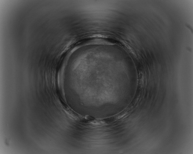X0000093100712200709261230
