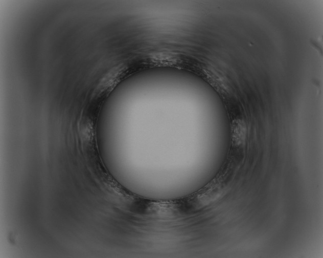 X0000093100713200709261230