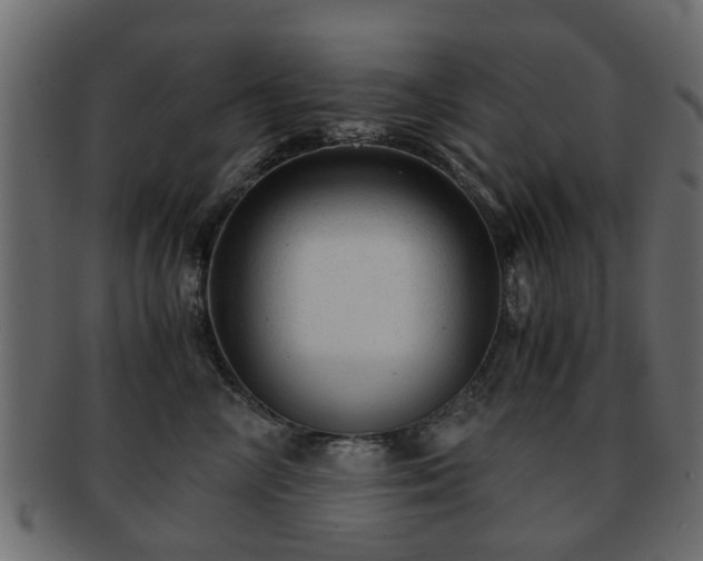 X0000093100714200709261230