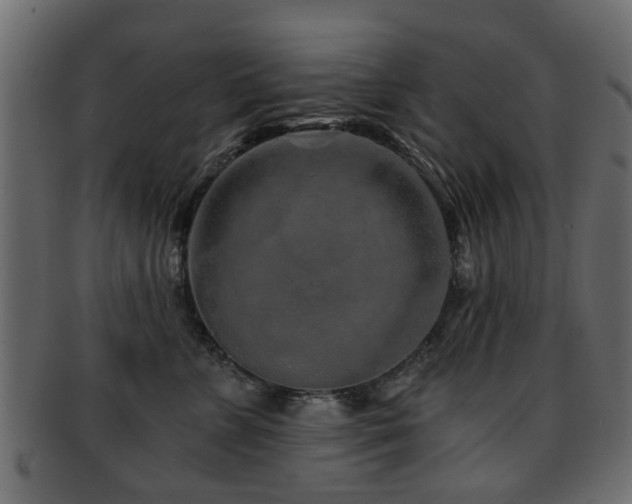 X0000093100715200709261230