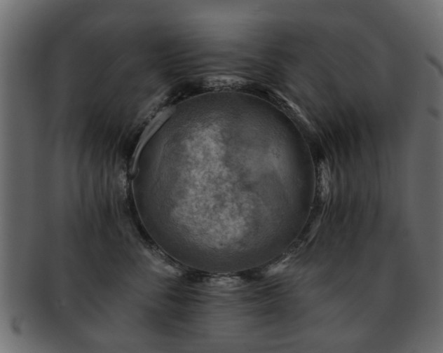 X0000093100716200709261230