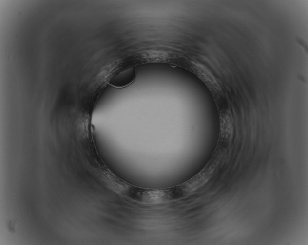 X0000093100717200709261230