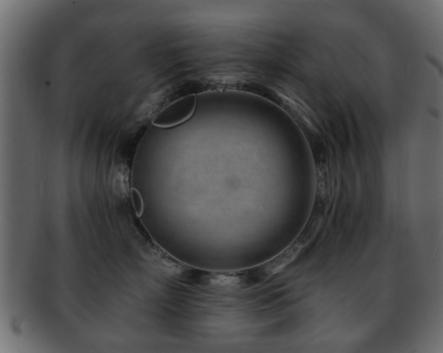 X0000093100718200709261230