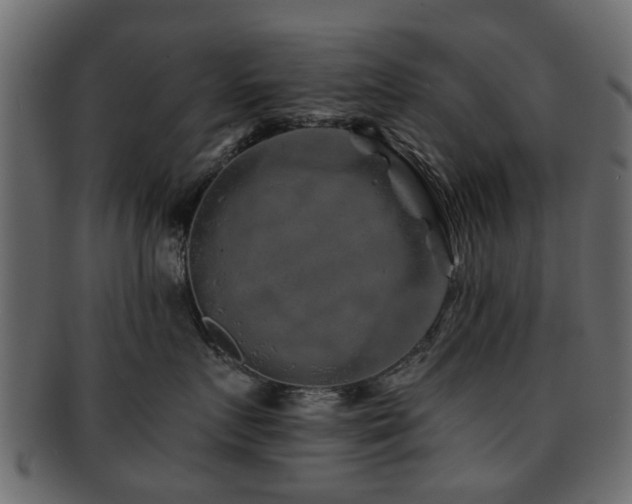X0000093100719200709261230