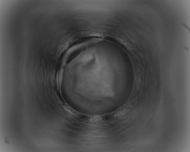 X0000093100720200709261230