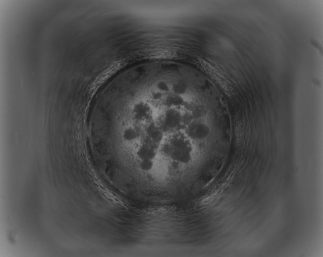 X0000093100721200709261230