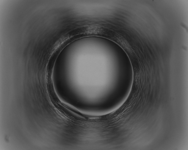 X0000093100722200709261230