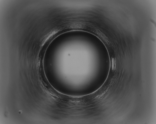 X0000093100723200709261230