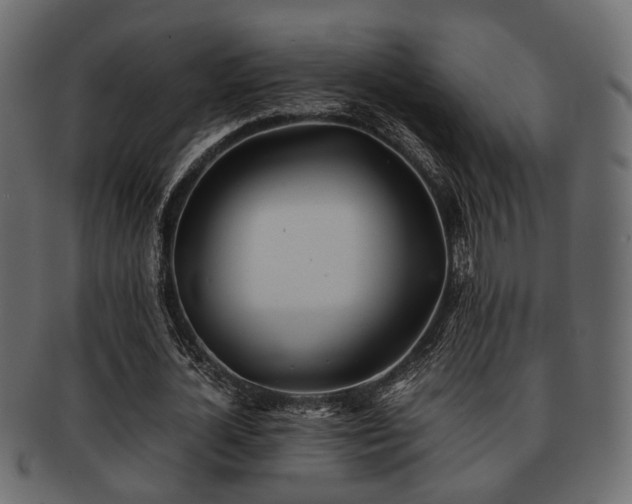 X0000093100724200709261230