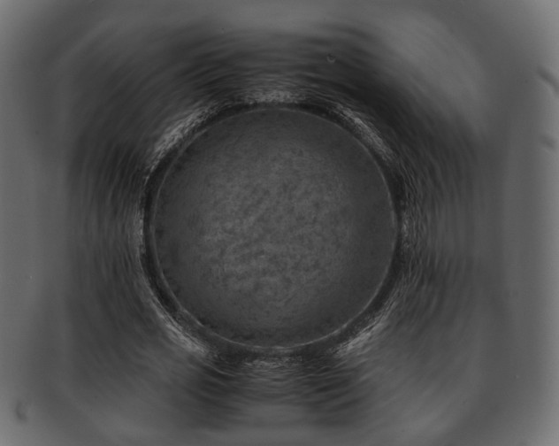 X0000093100725200709261230