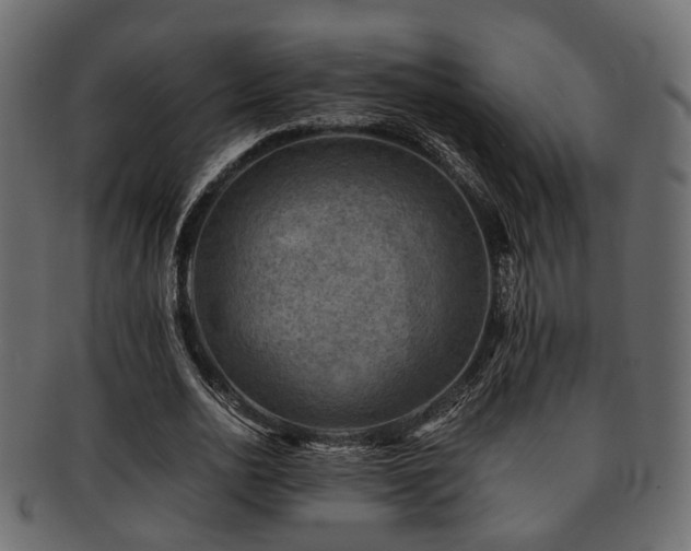 X0000093100726200709261230
