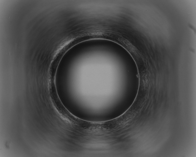 X0000093100728200709261230