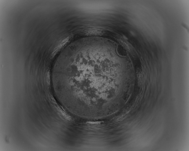 X0000093100729200709261230