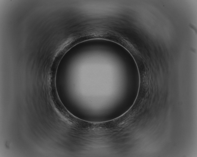 X0000093100730200709261230