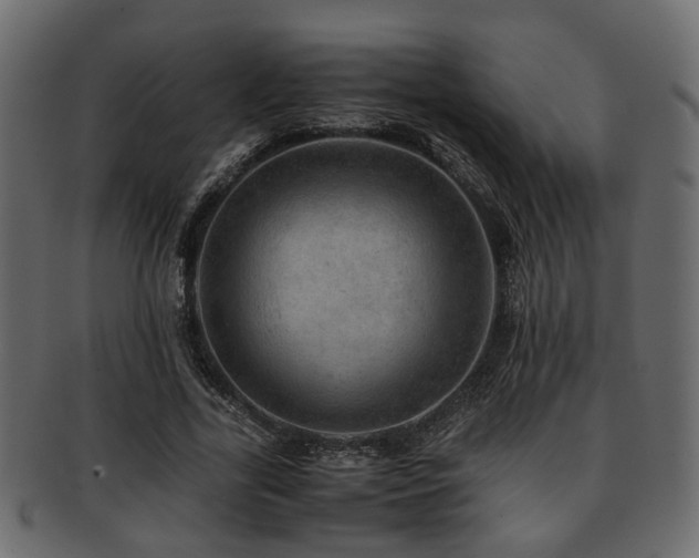 X0000093100731200709261230