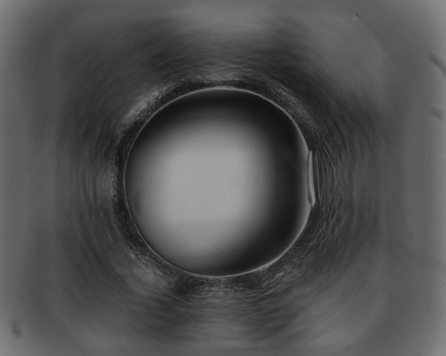 X0000093100732200709261230