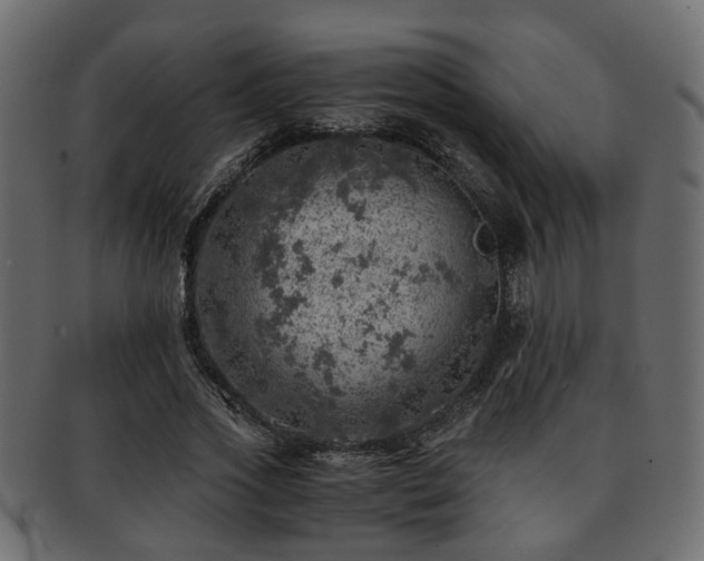 X0000093100733200709261230