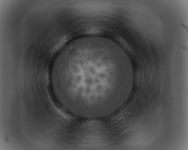 X0000093100734200709261230