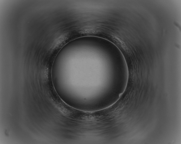 X0000093100735200709261230