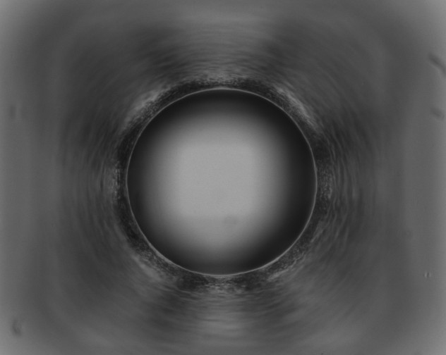 X0000093100736200709261230