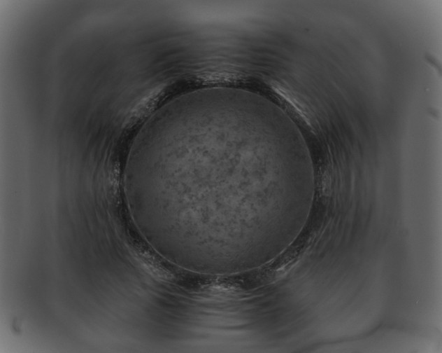 X0000093100737200709261230