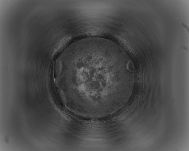 X0000093100738200709261230