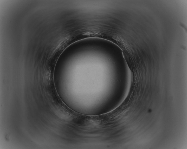 X0000093100739200709261230