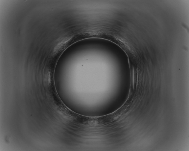 X0000093100740200709261230