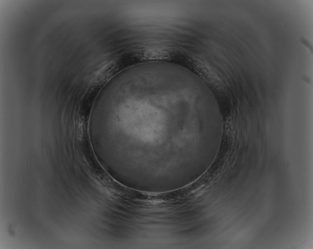 X0000093100741200709261230