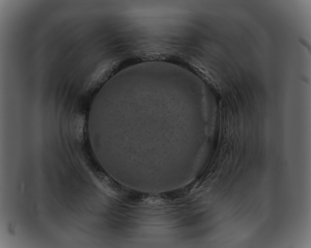X0000093100742200709261230