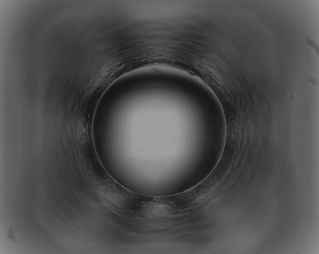 X0000093100743200709261230