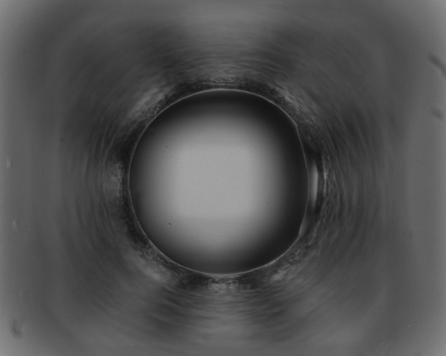 X0000093100744200709261230