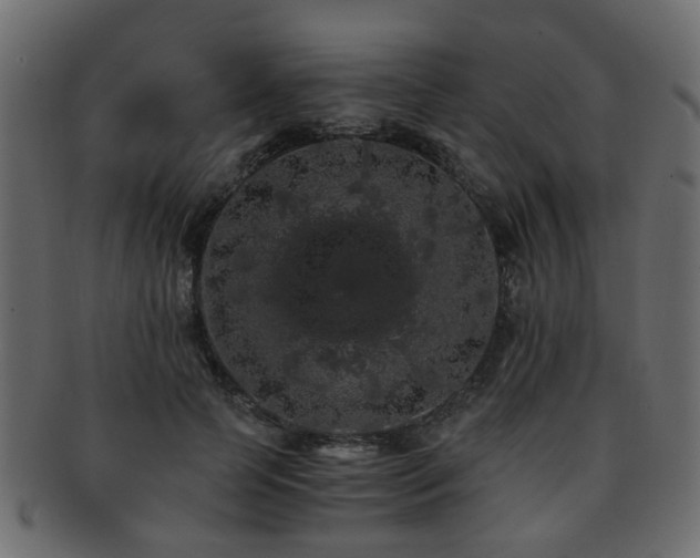 X0000093100745200709261230