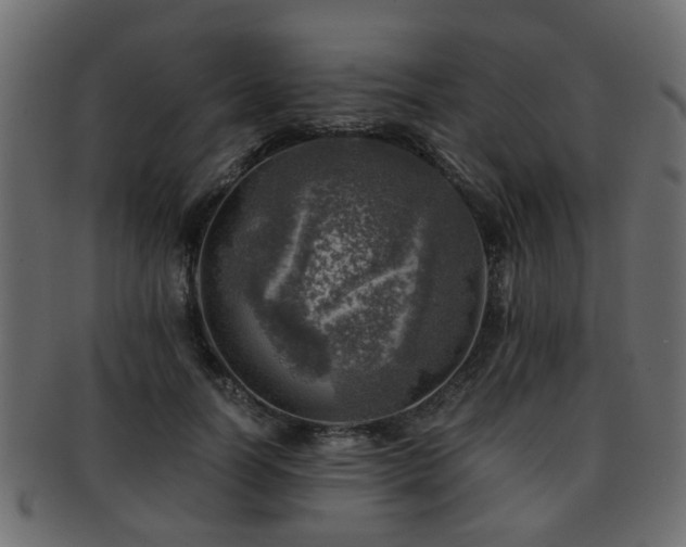 X0000093100746200709261230