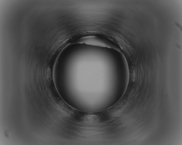 X0000093100748200709261230