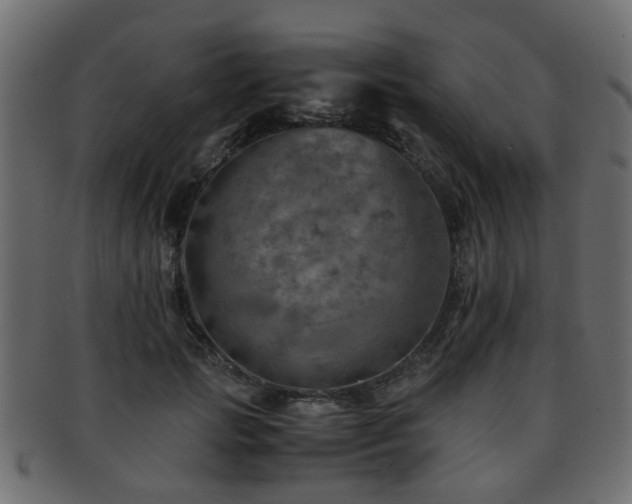 X0000093100749200709261230