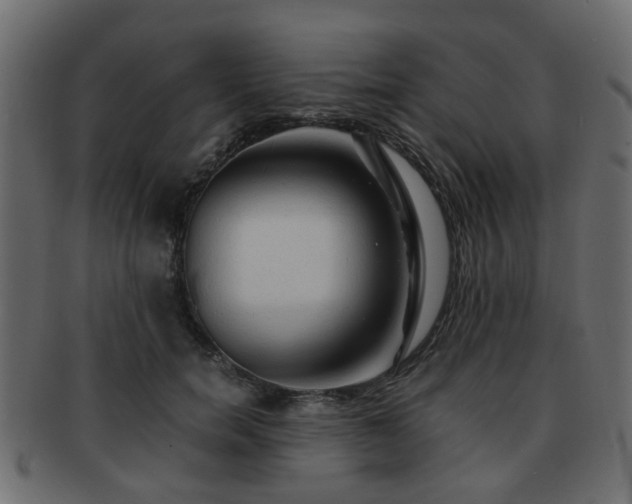 X0000093100750200709261230