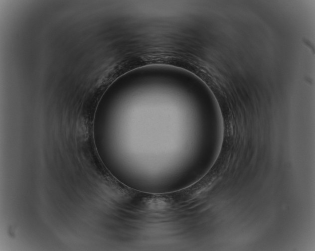 X0000093100751200709261230