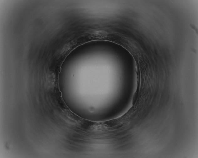 X0000093100752200709261230