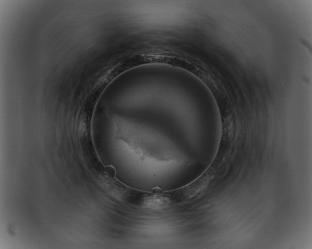 X0000093100754200709261230