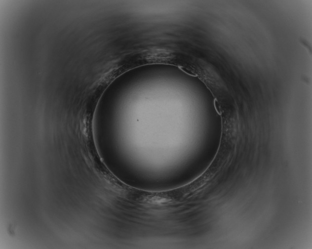 X0000093100755200709261230