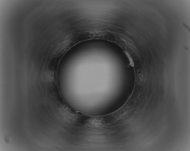 X0000093100756200709261230